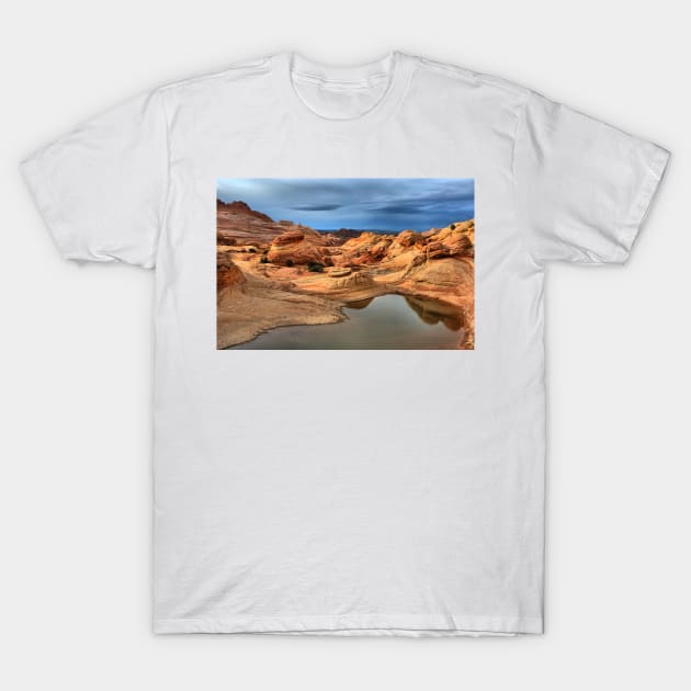 Northern Arizona Monsoon Pool T-Shirt by AdamJewell